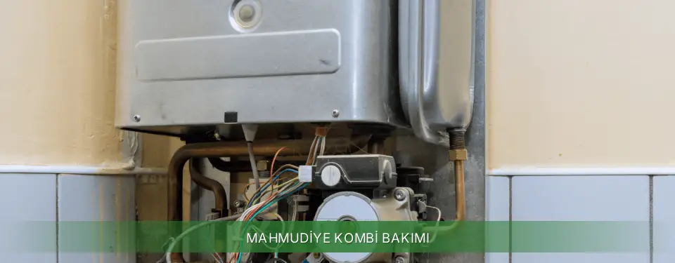 Mahmudiye İlçemi Protherm Kombi Bakımı