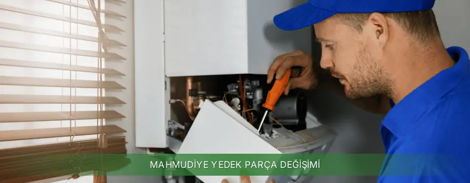 Mahmudiye İlçemi Protherm Yedek Parça Değişimi
